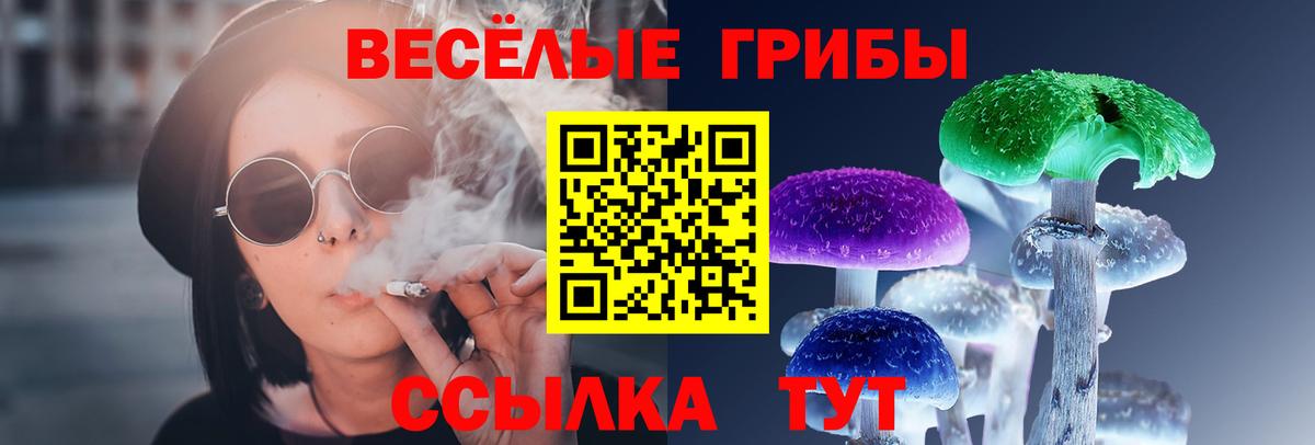 закладки  Вход с VPN  Гурьевск  Галлюциногенные грибы прущие грибы 